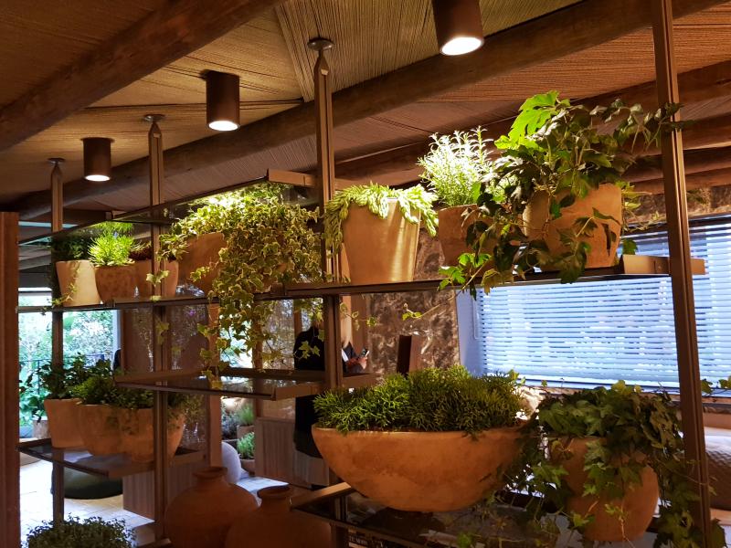 Formas criativas de integrar os arranjos a decoração de ambientes internos